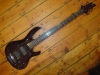 ESP LTD